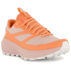 Chaussures Série Magasin -Chaussures Série Magasin arcteryx womens norvan ld 3 gtx chaussures de trail detail 2